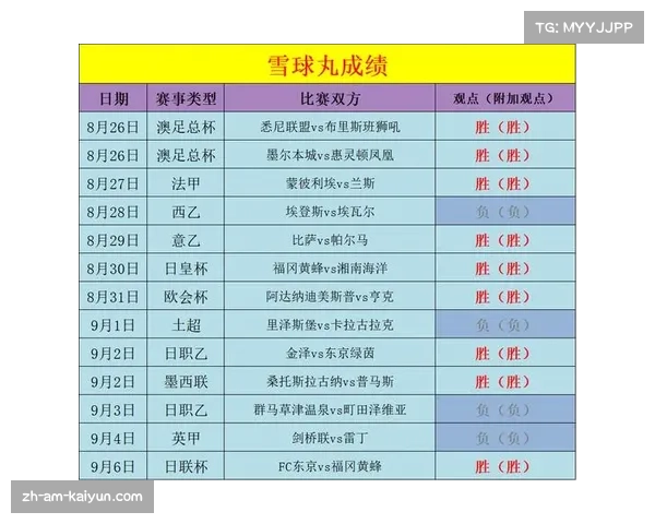 2016欧洲杯各国排名及精彩比赛回顾分析 2016欧洲杯各国排名及精彩比赛回顾分析