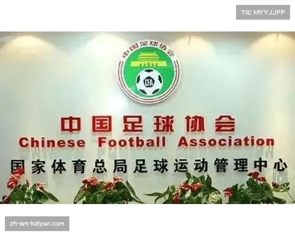 足协纪委书记强调正风肃纪 保障中国足球健康发展与公平竞争 足协纪委书记强调正风肃纪 保障中国足球健康发展与公平竞争